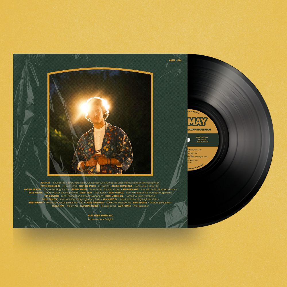 Mild Adversity & Shallow Heartbreaks - Vinyl LP